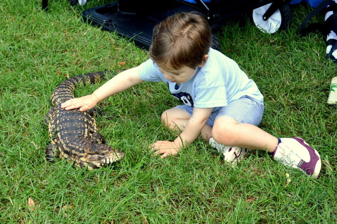 A small child is sitting in the grass petting a large black and white lizard