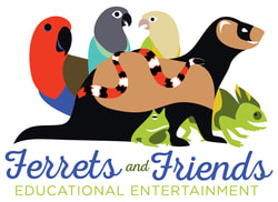 Business Logo featuring stylized depictions of a ferret, parrots, chameleon, frog, and snake