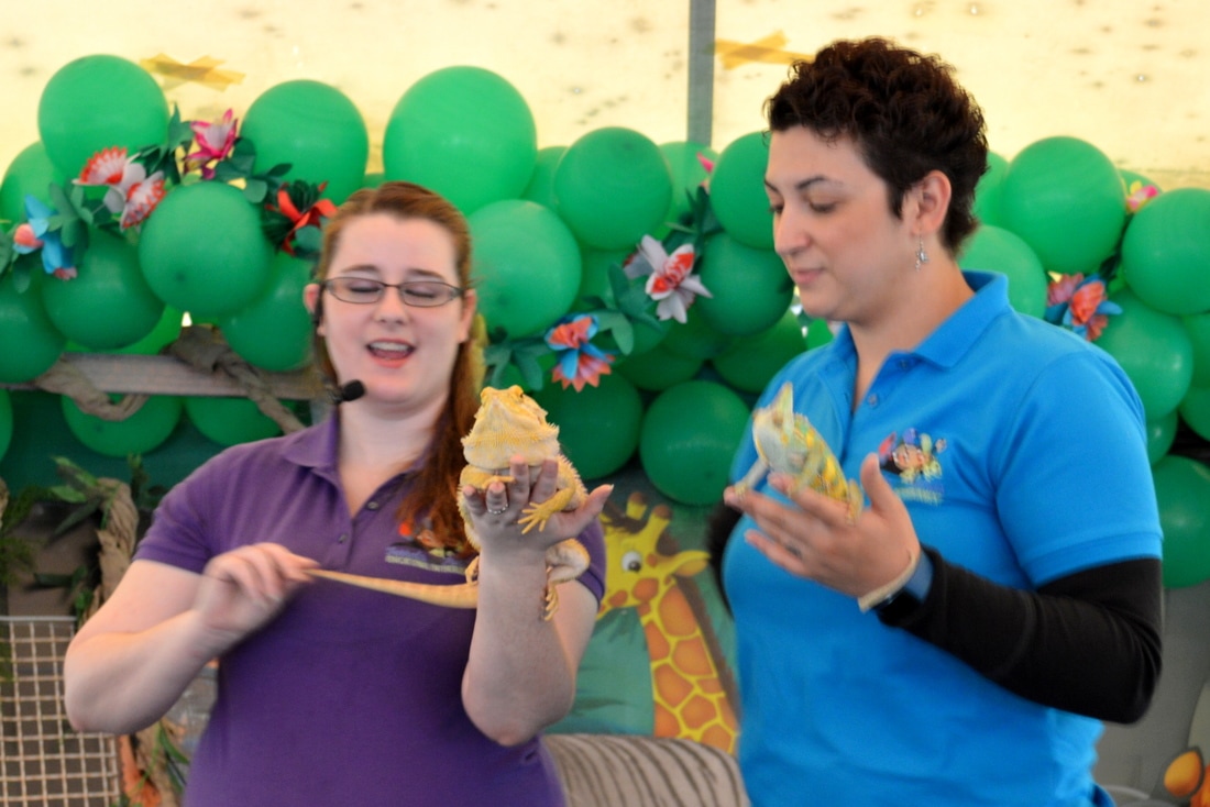 Two women stand holding lizards in front of a balloon archway.  One holds a yellow lizard and the other holds a chameleon.  One woman has a microphone and appears to be speaking.