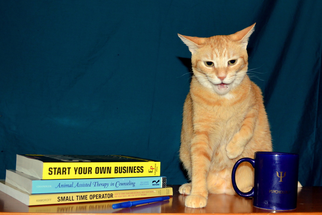 An orange tabby cat sits, appearing to be talking, with a mug in front of her and a stack of business books to her left