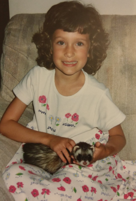 An 8 year old girl is holding a brown ferret in her lap while smiling