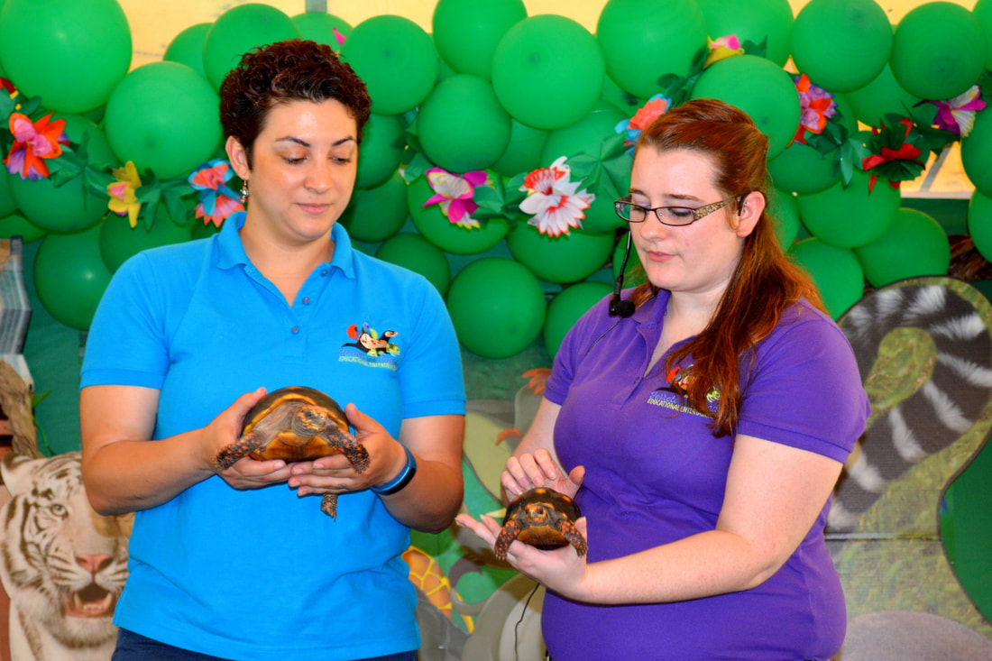 Two presenters holding tortoises